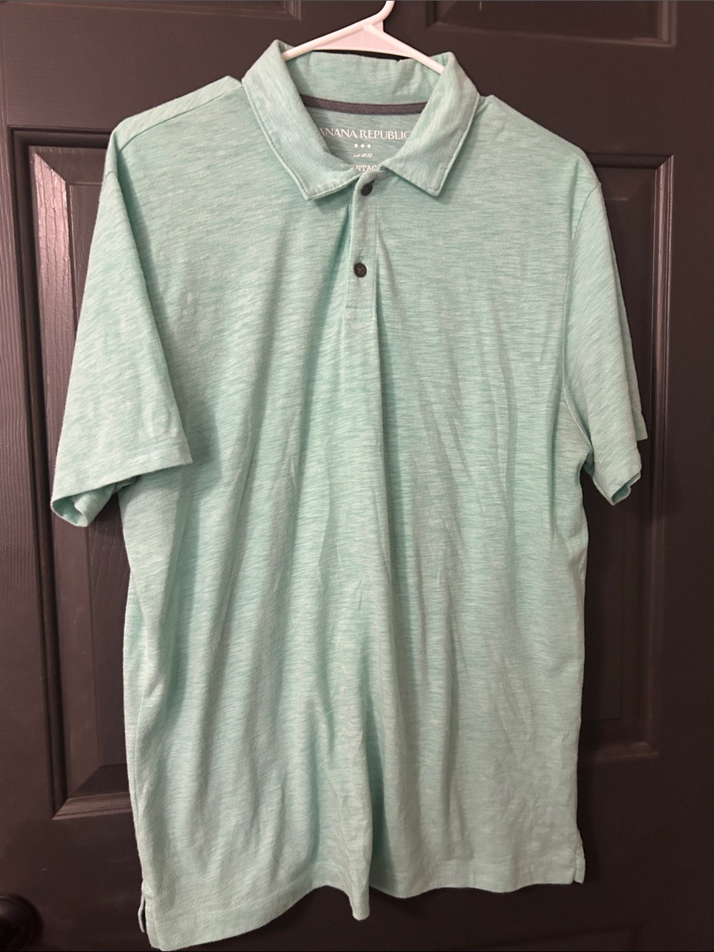 Banana Republic Light Mint Polo Shirt